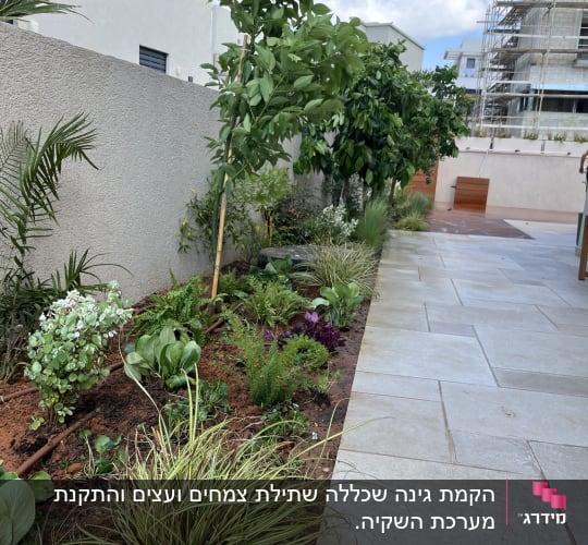 גינה עם צמחים ירוקים, עצים ודשא